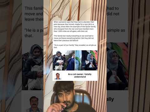 As a cat owner, I totally understand