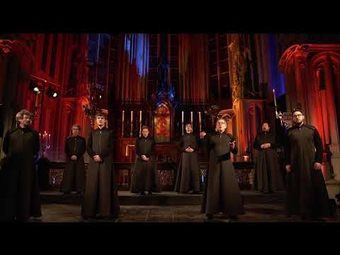 Cappella Pratensis Live Stream