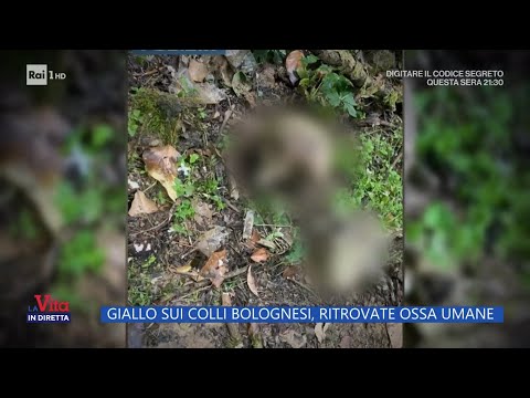 Mistero a Bologna, ossa umane ritrovate in un bosco - La Vita in Diretta 30/04/2024