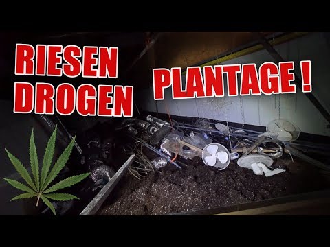 LOSTPLACE : Drogen im groรen Stil angebaut ! Wahnsinns Anlage ! | ItsMarvin
