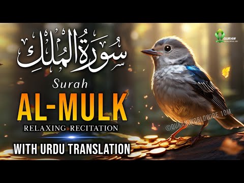 The Most Popular Of Surah Al Mulk With Urdu Translation | Beautiful Recitation | سورة الملك