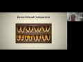 Plant Health and Nutrition Concepts