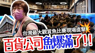 1000個超巨量魚缸！全球最強的魚蝦都在這裡了！