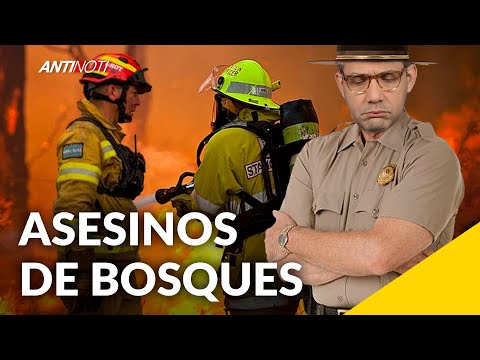 Asesinos De Bosques [Incendio En Valle Nuevo] | Antinoti Editorial