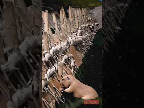 Amazing facts #youtubeshorts #facts #mustwatch#interestingfacts