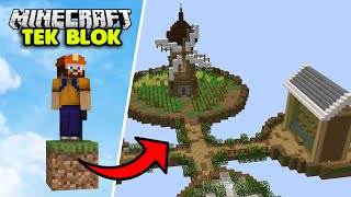 DEĞİRMEN ve OTOMATİK KARPUZ, KABAK! | Minecraft TEK BLOK SKYBLOCK | Bölüm 17