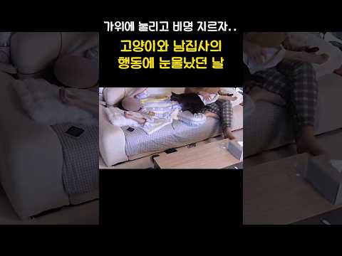 홈캠 보고 감동했습니다