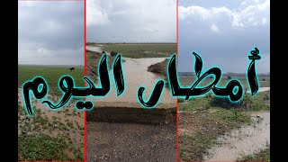 أمطار اليوم في البادية و القطار يمر بين السهول أمام الوادي