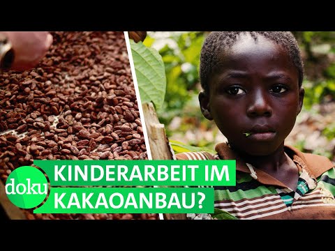 Kinderarbeit: Die bittere Wahrheit über deinen Schokohasen | WDR Doku