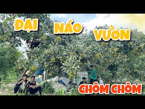 Anh Ba Phải | Đại Náo Vườn Trái Cây