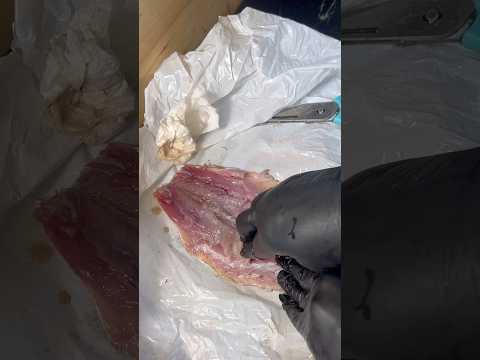 ابني غفلني علي قفايا وخد مايه من ورايا الدرس #اكسبلور #shorts
