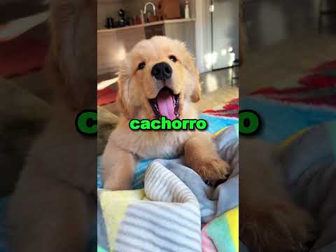 Odio la nieve ๐โ #shorts