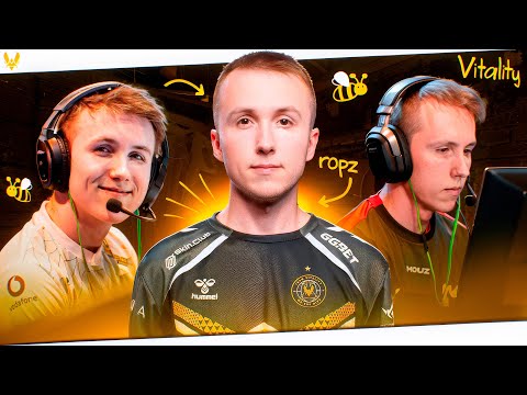 The New Bee Of Vitality: ropz
