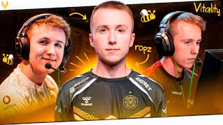 The New Bee Of Vitality: ropz