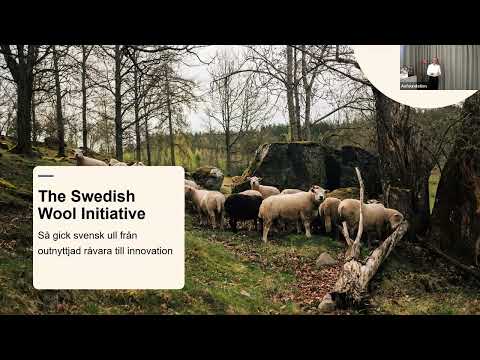Webinar: Så gick svensk ull från outnyttjad resurs till innovation