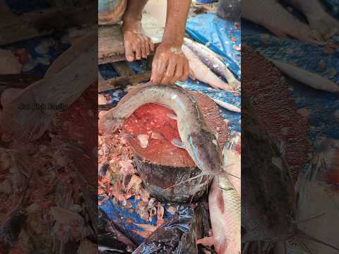 How To Easily African Magur Fish Skin Remove 😮😱 || #shorts #fishcutting_skills