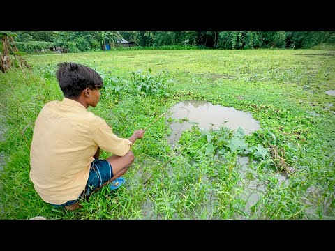 Village boy hook fishing in rainy season water | traditional catching fish hunting by hook.