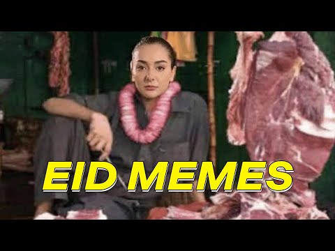 MEMES i show to my BAKRA | Muneeb Ki Memes