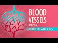 Exploring Blood Pressure and Its Effects on Health