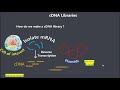 cDNA Library Creation Concepts