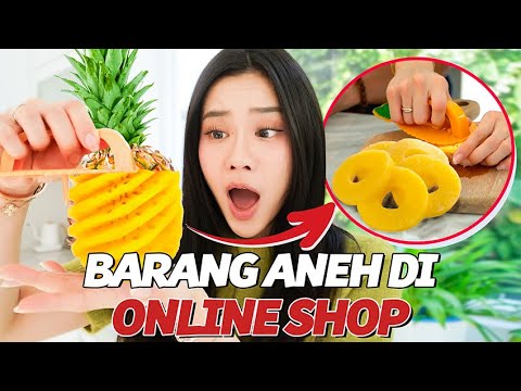 BELANJA BARANG UNIK DI ONLINE SHOP Part. 18