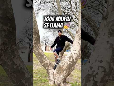 Toda milipili se llama 💅