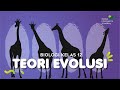 Theories of Evolution and Creationism