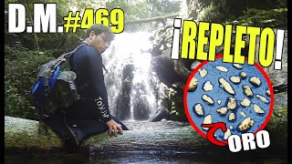 ¿Por qué hay tanto oro en este río? - Detección Metálica 469