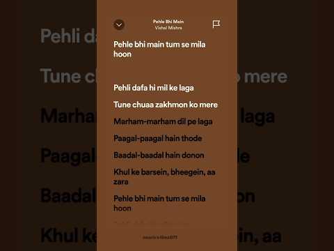 Pehle Bhi Main || Vishal Mishra || Animal || Lyrics || MusicVibes071