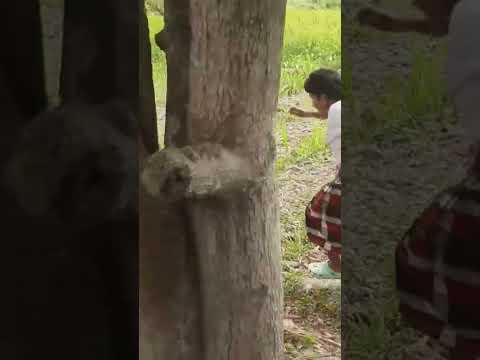 দম ফাটা হাসির ভিডিও 🤪😂 #shorts #funny #comedy