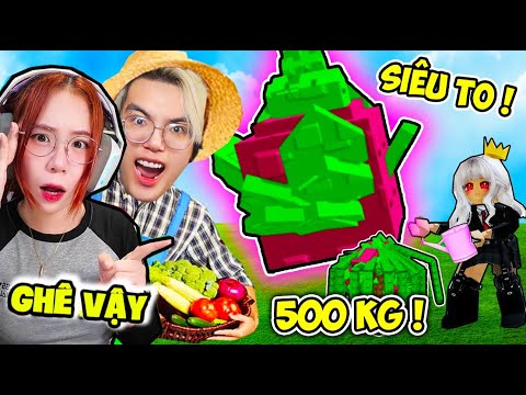 PHONG CẬN BẤT NGỜ KHI SAMMY TRỒN ĐƯỢC QUẢ THANH LONG 500 KG TO NHẤT TRONG GROW A GARDEN
