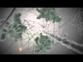 Axon Guidance and Neuronal Connections