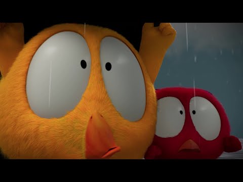 In the rain | Where's Chicky? | Cartoon Collection in English for Kids | New episodes HD