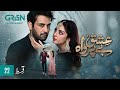 Ishq Beparwah Episode 22  19th November 2024  Affan Waheed  Alizeh Shah  Green TV