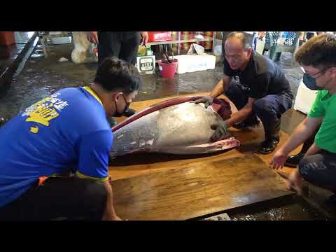 Ever Wondered How They Cut Giant Bluefin Tuna? Watch This!