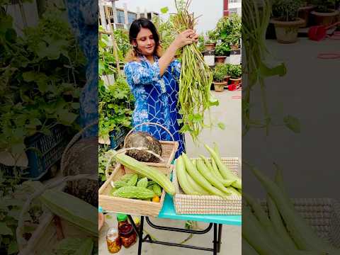 বাজারে সবজি গুলো বিক্রি করে দিবো #ছাদবাগান  #popular  #shortsviral
