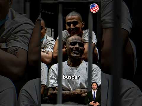 PANDILLER0 esta muy feliz y contento, ya que pensó que saldría libre hoy