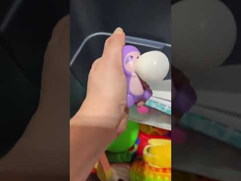 How Many Animal Squishies Do I Have?