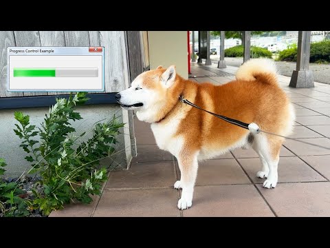 強風により鼻ににおいを強制ダウンロードされ続け、フリーズする柴犬