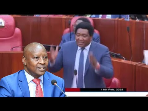 ''SHAME ON YOU,'' FURIOUS SENATOR LEDAMA DEMOLISHES GOVERNOR MUTAHI KAHIGA AFTER INSULTED MAASAI