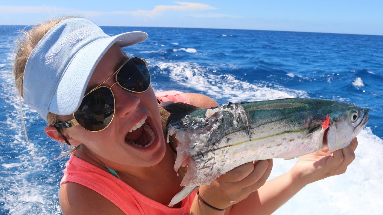 Barracuda's Can Be REAL AHO! ES. STOLEN Catch and STALKED Underwater (Bahamas Spearfishing )