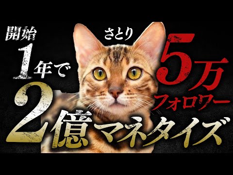 X開始1年で2億マネタイズ5万フォロワーのノウハウ公開【TwitterX攻略】