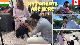 Finally my 13 years old dog and my parents are here || India to Canada @FeanshuandKeerat 
