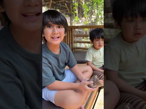 #Shorts Ziyan Kasih Makan Ikan