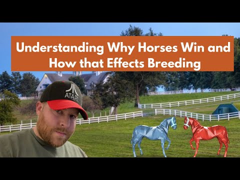 The Key To Breeding?  I Combining the Zed Run Breeding Theories and the Secrets they all Share