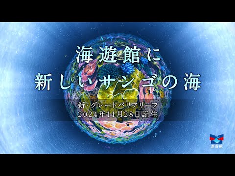 【海遊館に新しいサンゴの海】～新・グレートバリアーフ2024年11月28日誕生～