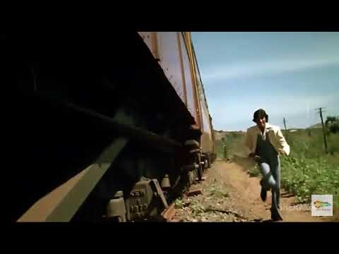 Amitabh Bachchan train pakad ta best scene Don movie