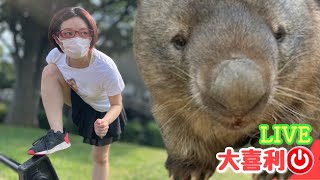 【大喜利】えっ実寸サイズ⁉️うぉんたん◯◯◯❤️【LIVE】