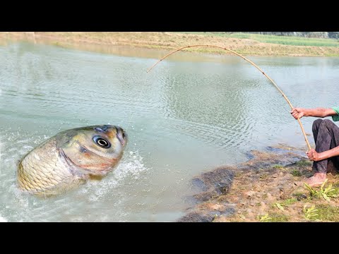 Best Fishing Video ~ Village Smart Boy Fishing With Hook ~ Traditional Hook Fishing