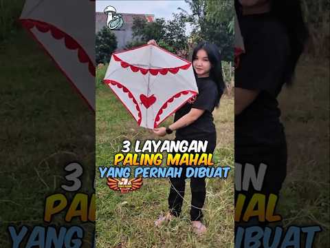 3 Layangan Paling Mahal Yang Pernah Dibuat (Nomor 3 Sempat Masuk Rekor Dunia)